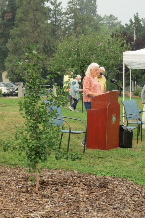 JoAnn Dixon speaking while standing behind a podium